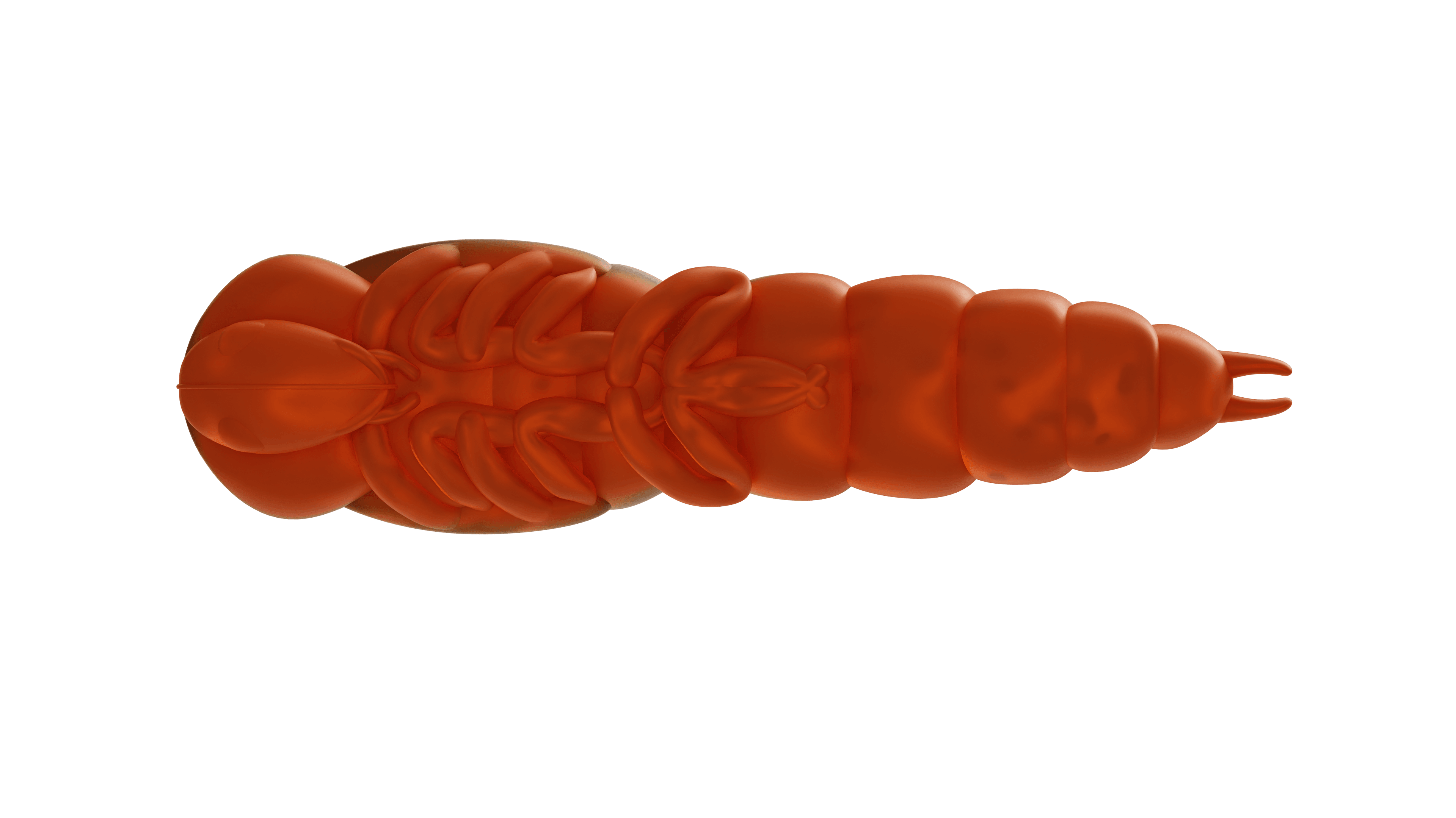 Lively Larva 40mm Pumpkin Orange